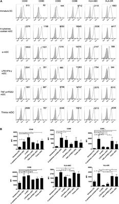 Enhanced Human T Lymphocyte Antigen Priming by Cytokine-Matured Dendritic Cells Overexpressing Bcl-2 and IL-12